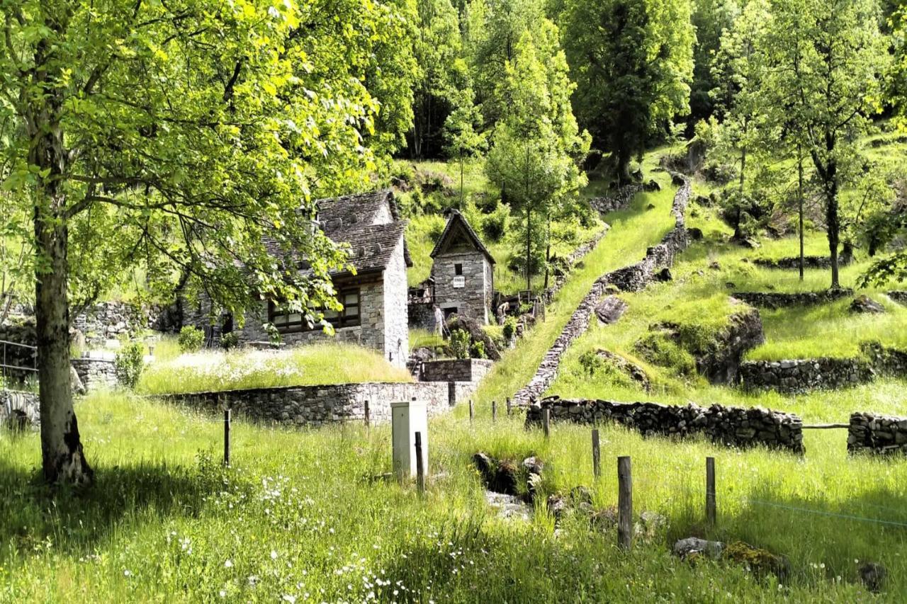 Residenza La Serenata - Happy Rentals Cavigliano Eksteriør billede