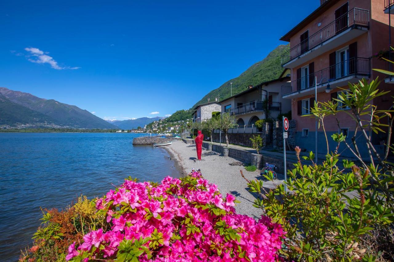Residenza La Serenata - Happy Rentals Cavigliano Eksteriør billede